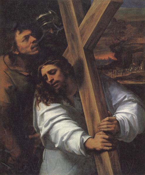 Sebastiano del Piombo Jesus Carrying the Cross Spain oil painting art